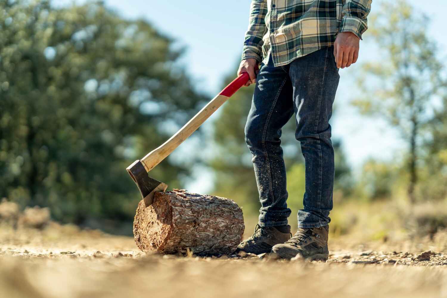 Tree Removal for Businesses in Hampton, GA